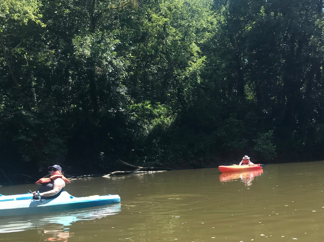 The River Rat's Canoe Rental-哥伦比亚必去景点