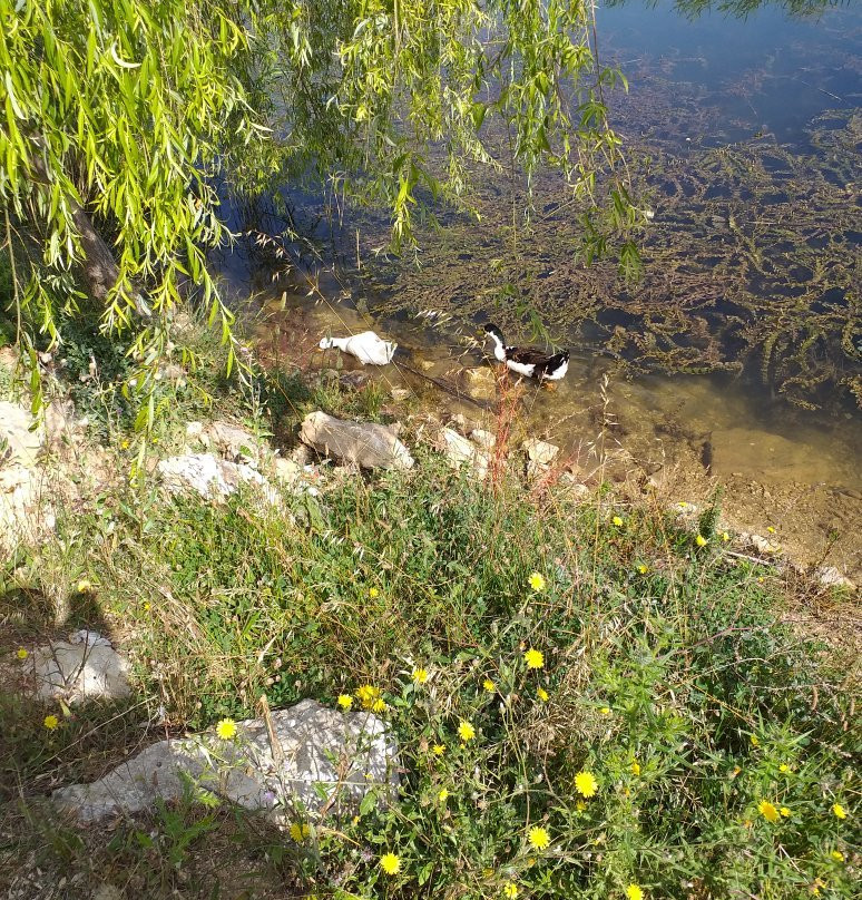 Pelitozu Goleti-比莱吉克必去景点