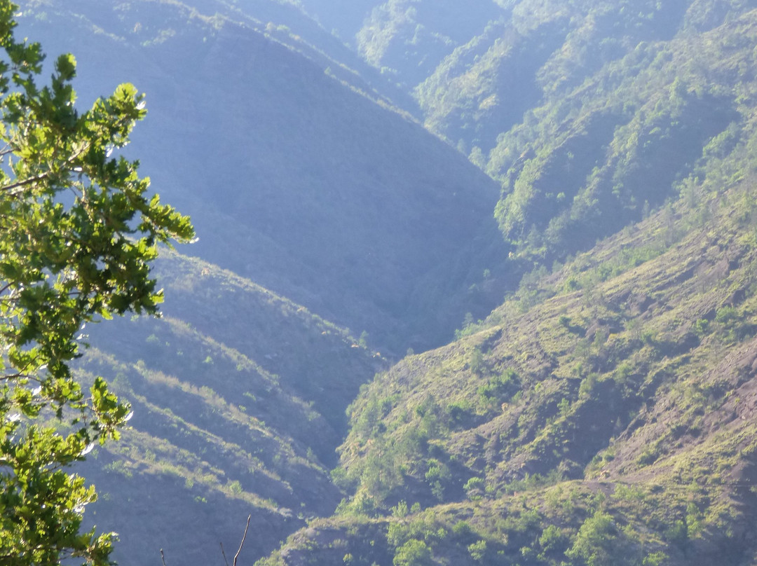 Gorges de Daluis景点图片