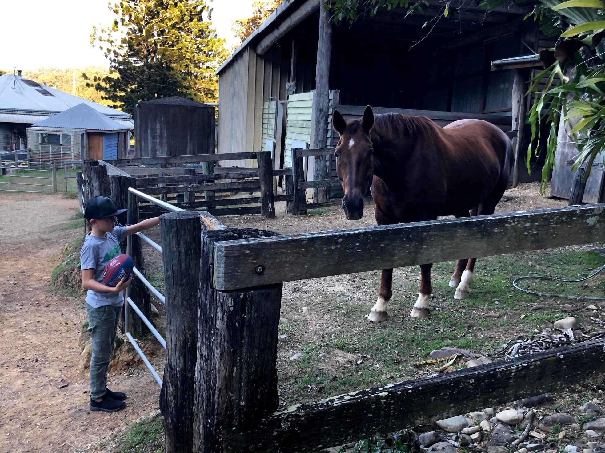Ingleside Stud Farm-浴室