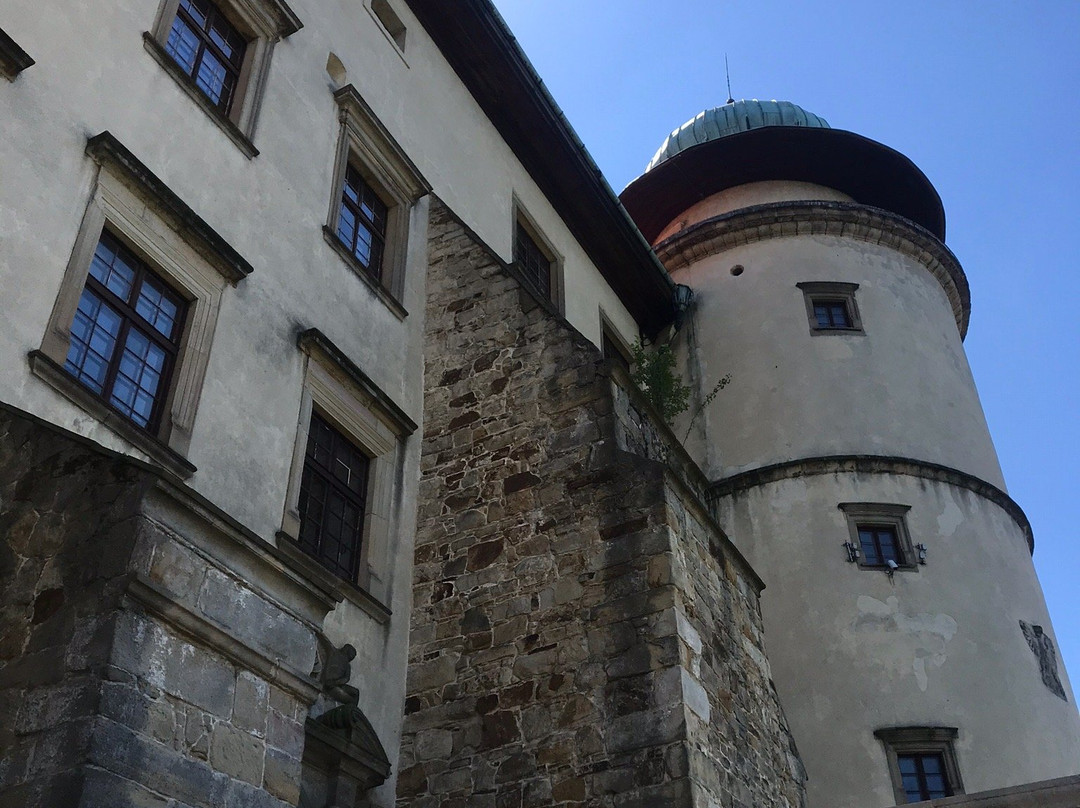Wisnicz Castle Museum景点图片