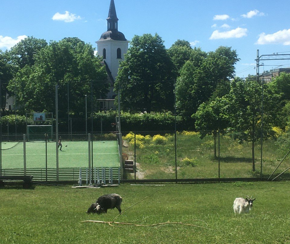 Rådsparken