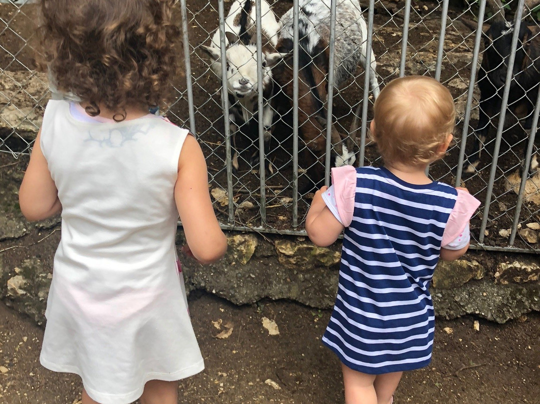 Parc zoologique Bienne-比尔必去景点