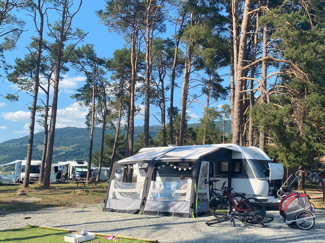 Gloppen Camping主图