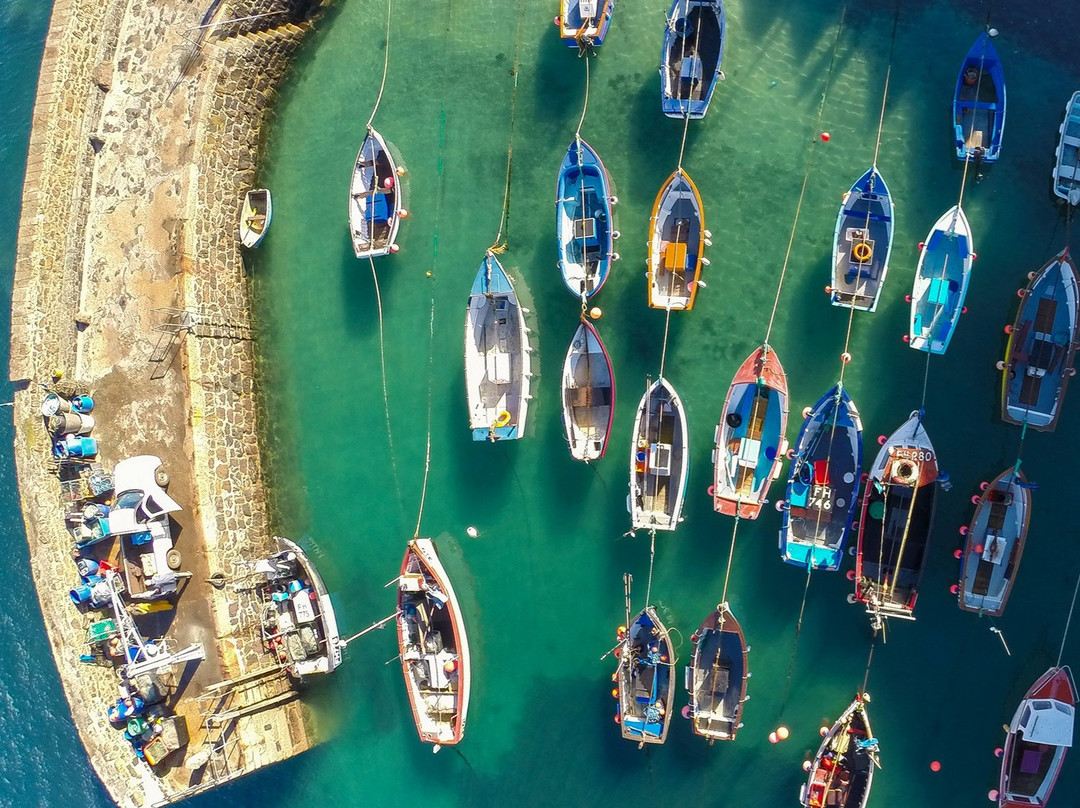 Coverack Harbour-Coverack必去景点