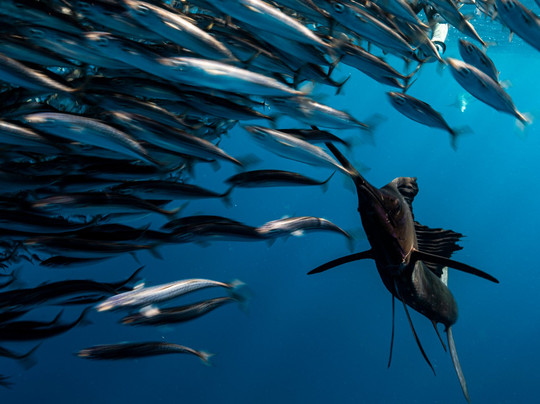 Baja My Love-圣何塞卡波必去景点