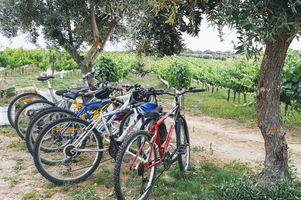 Monte Das Aranhas Guesthouse主图