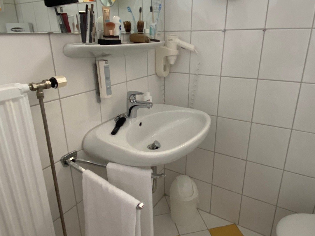 Treff Alpenhotel Kronprinz Berchtesgaden主图