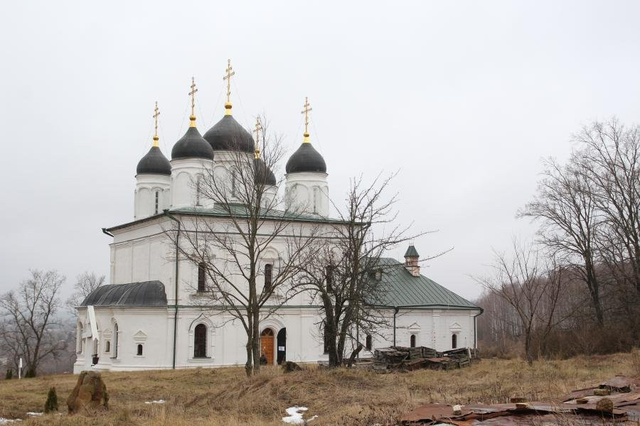 Troitskiy Rozhdestva Bogoroditsy Optin Monastery景点图片