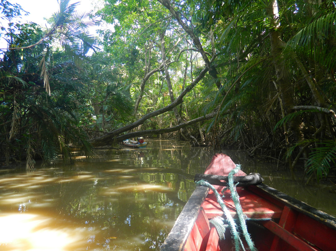 Furo do Miguelão-Ilha do Marajo必去景点