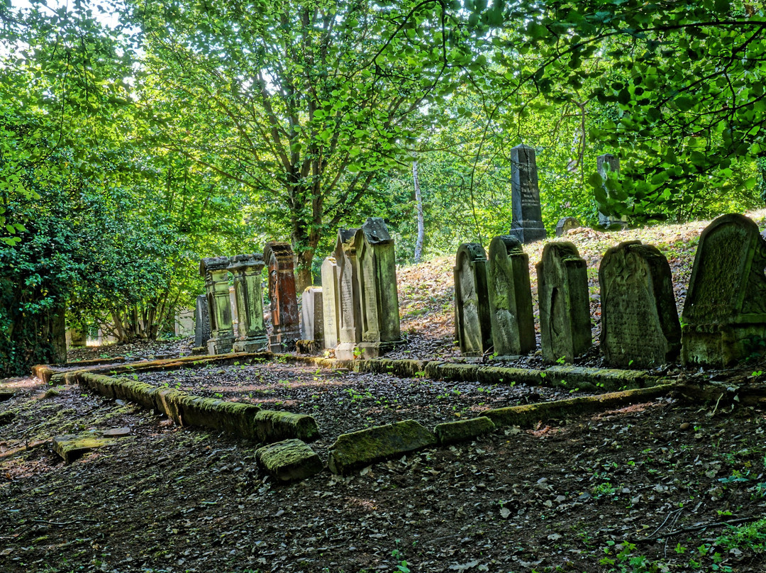 Judischer Friedhof auf dem Domberg景点图片