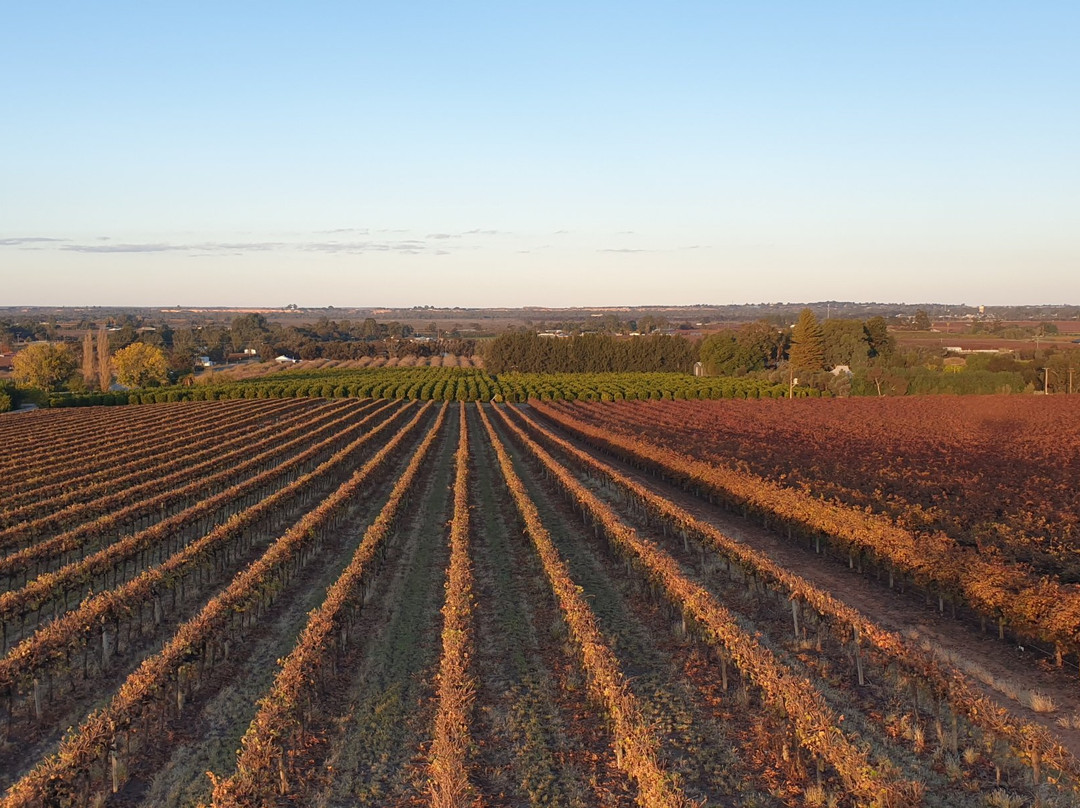 Renmark Rotary Township Lookout Tower-Renmark必去景点