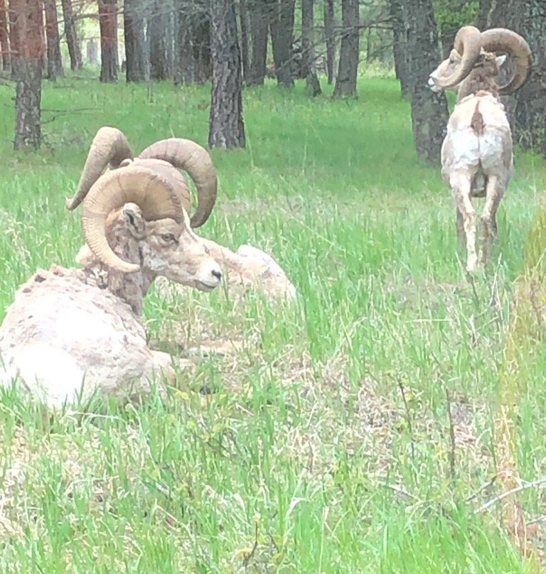 Snow Valley Lodging主图