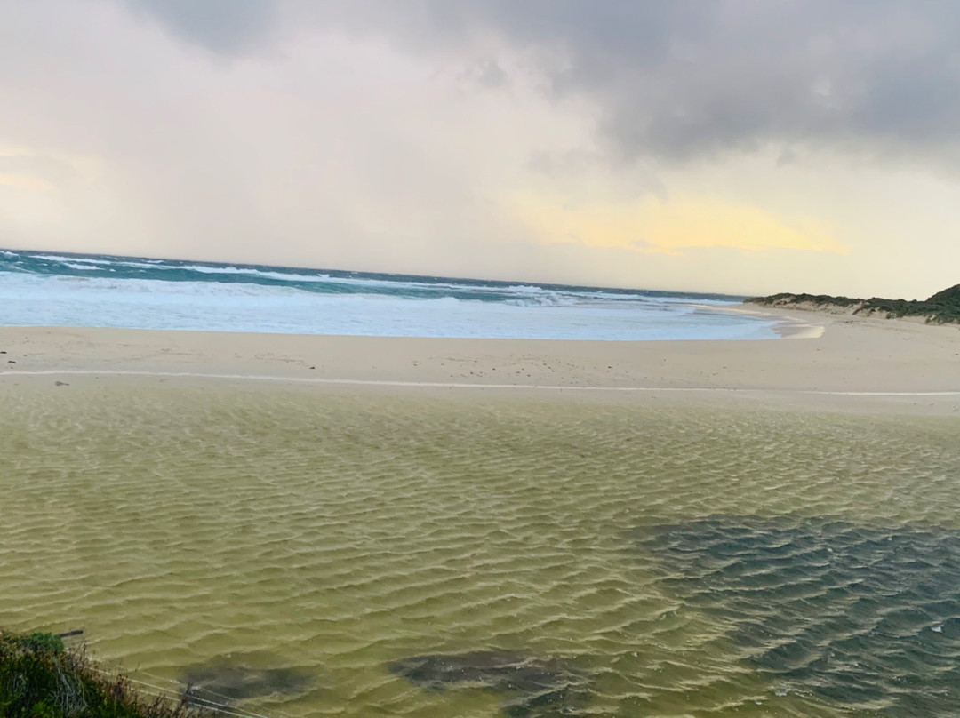 Margaret River Bushtucker River &Winery Tours景点图片