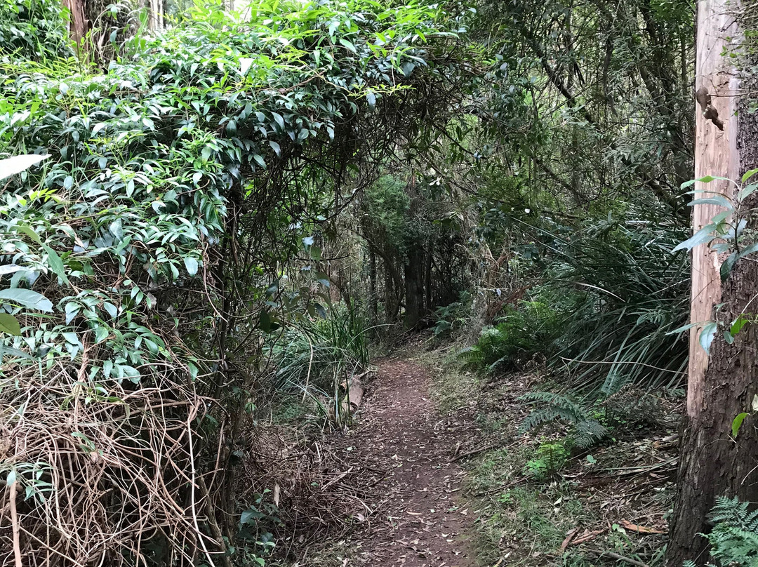Gembrook Park-Gembrook必去景点
