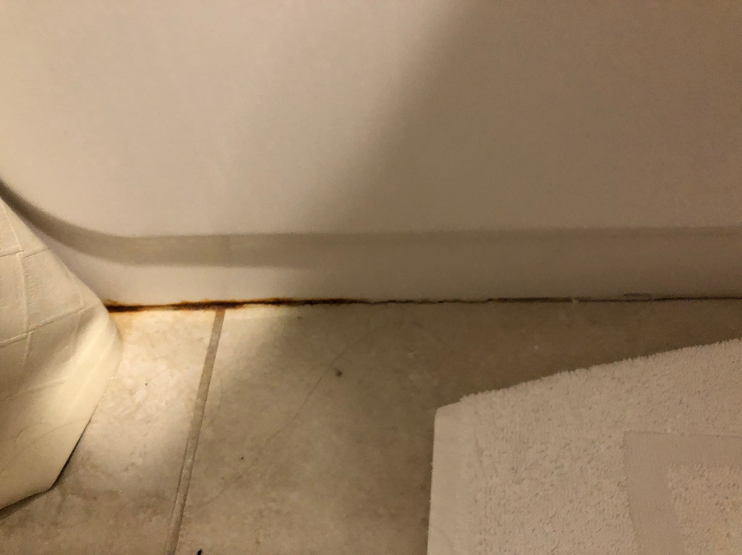 Hyatt Place Sarasota / Bradenton Airport主图