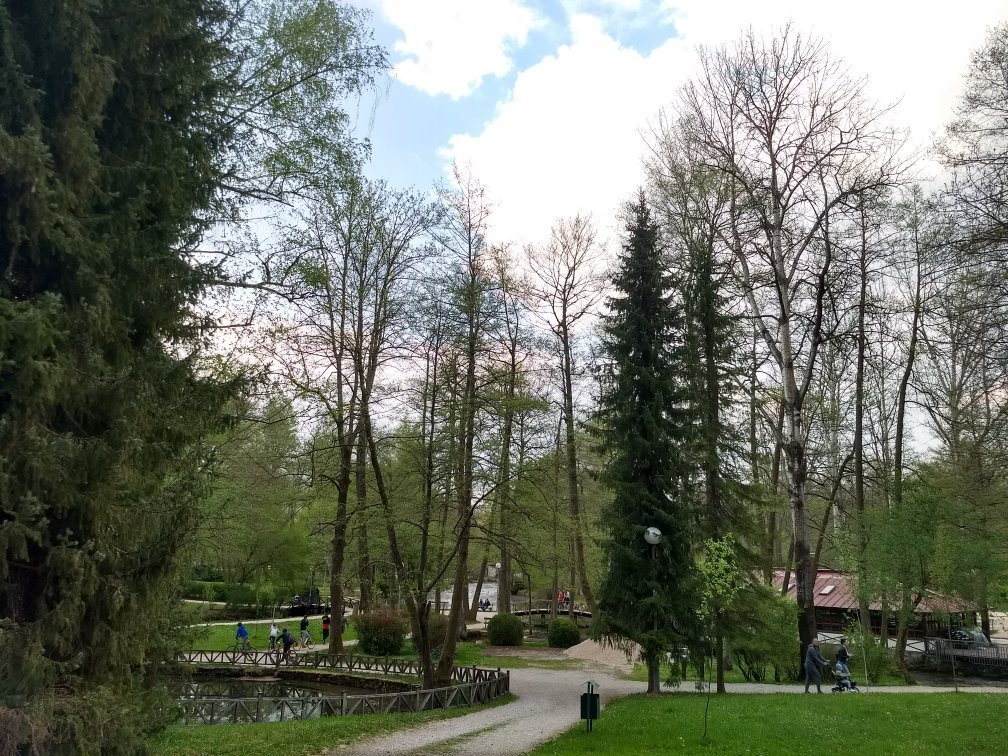 Spring of Bosna景点图片
