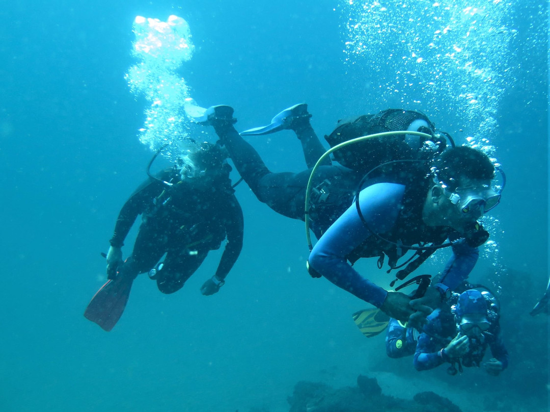 Twobar Scuba-索德瓦纳必去景点