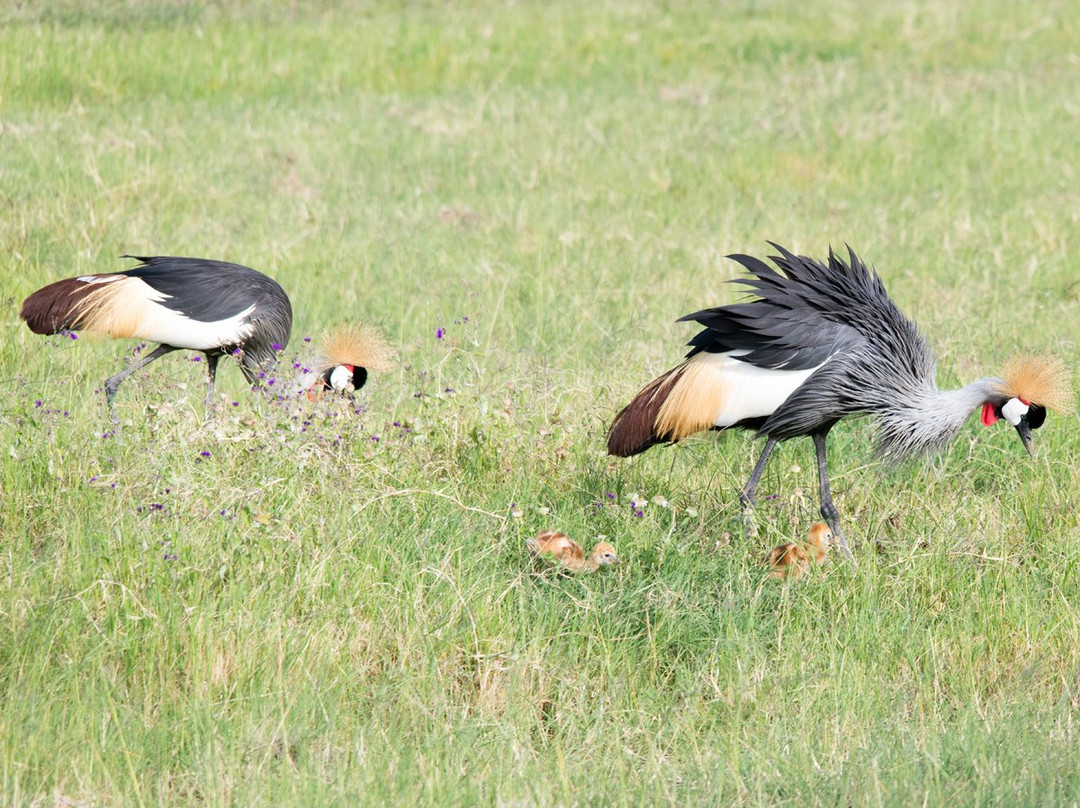 Exposed Africa-莫西必去景点