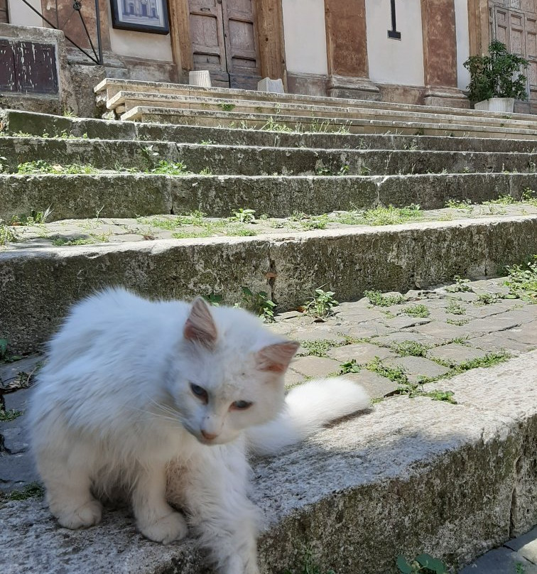 Chiesa di Santa Croce景点图片