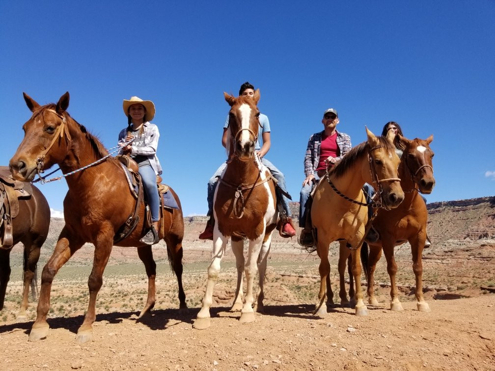 Shelleys Custom Horse Tours-Virgin必去景点