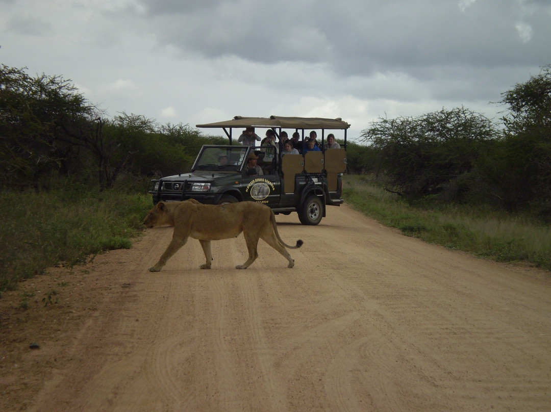 Kruger Africa Safaris-玛洛斯帕克必去景点