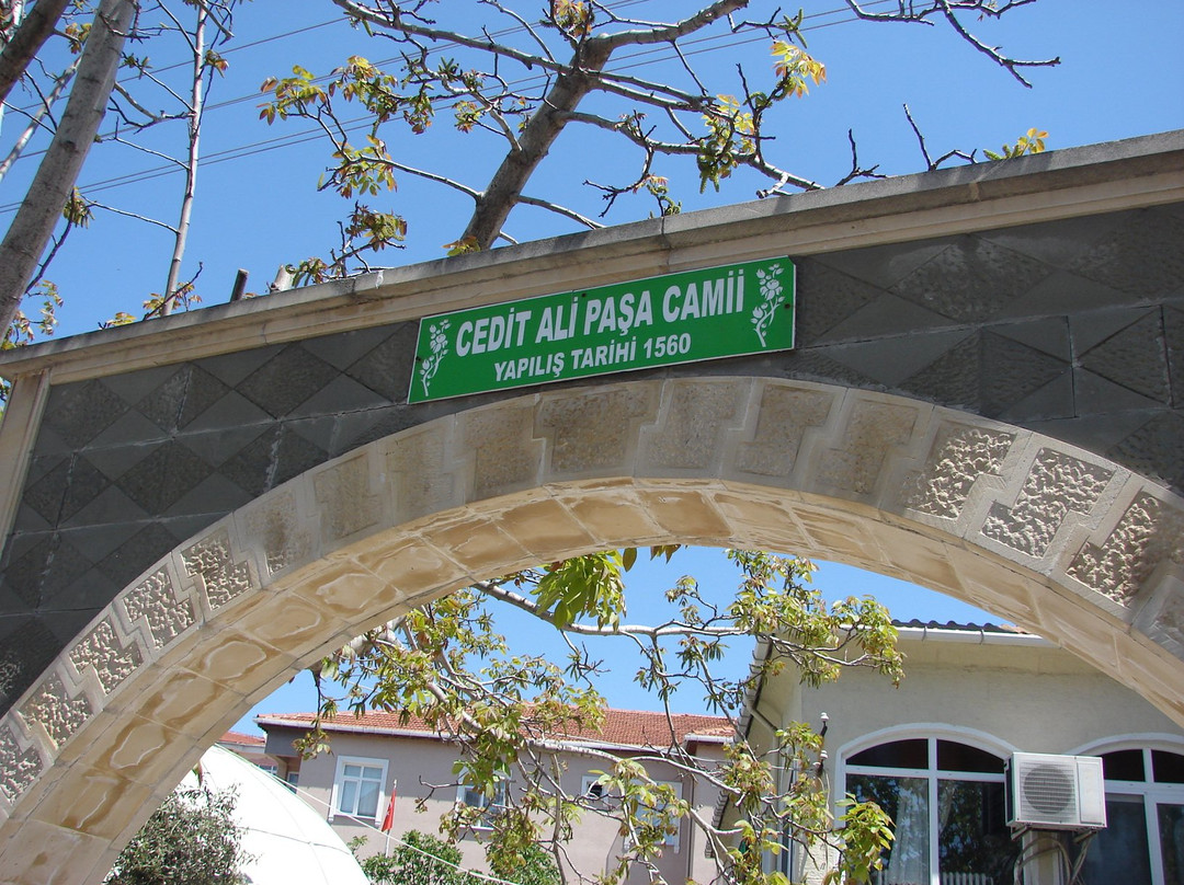Cedid Ali Pasa Camii-泰基尔达必去景点