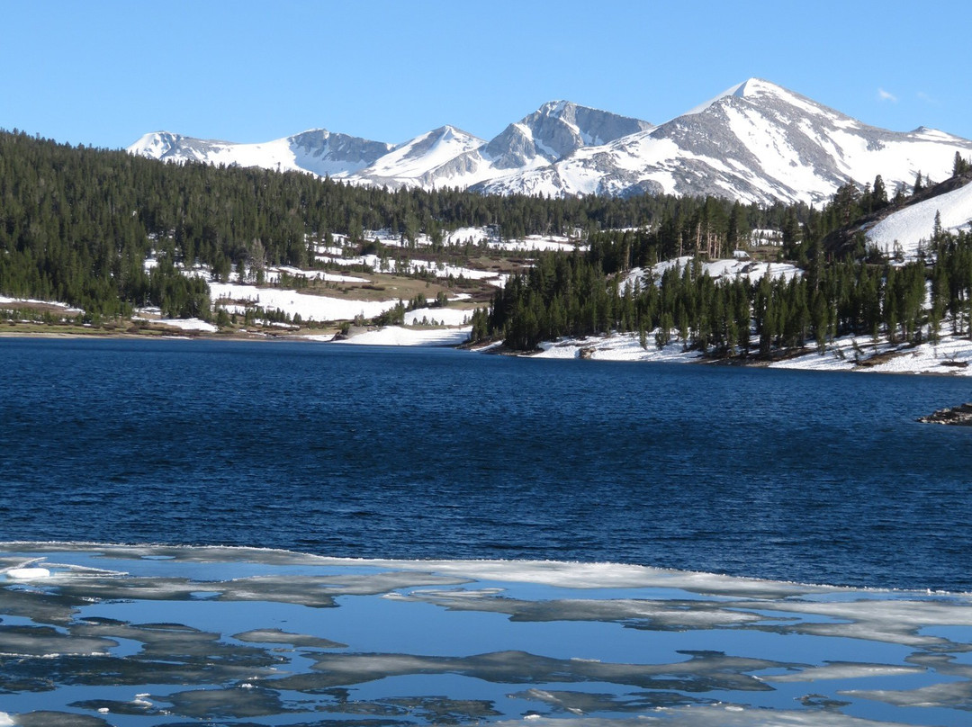 Tioga Lake-利韦宁必去景点