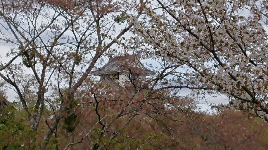 Yoshii-Shiroyama Park景点图片