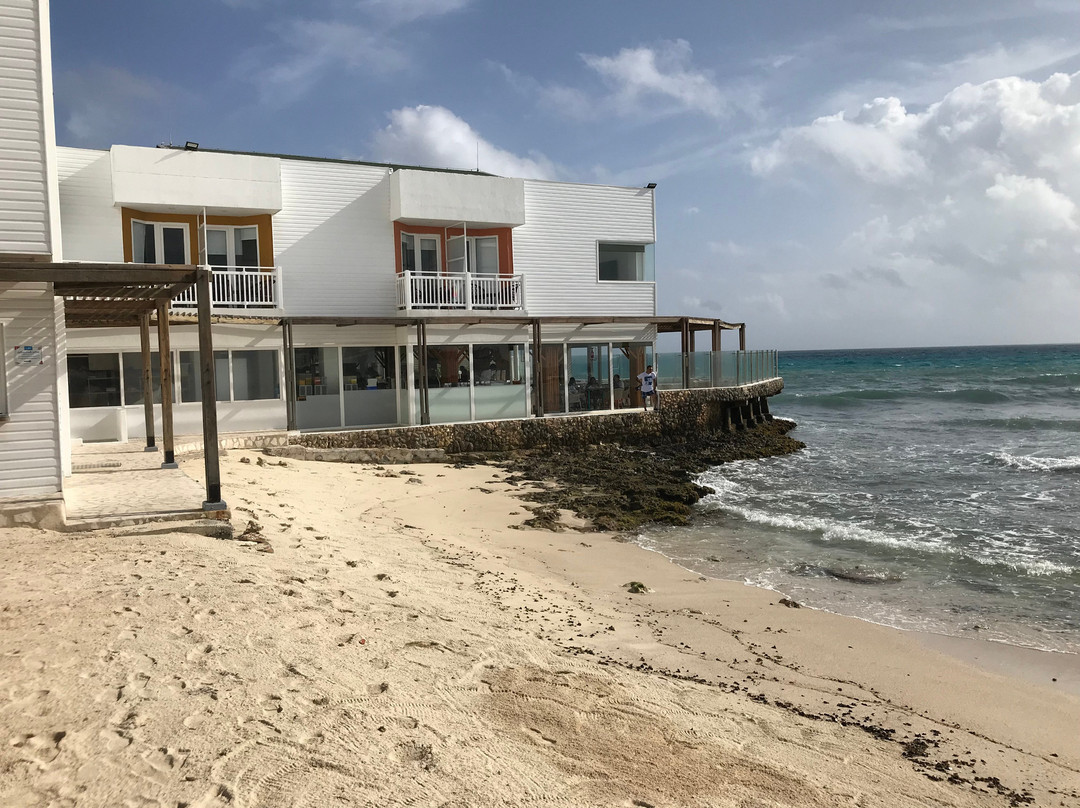 Decameron Maryland主图