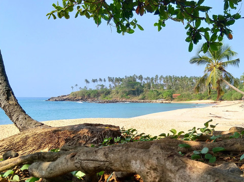 Insight Sri Lanka Eco Tourism - Dave de Silva-拉非尼亚山必去景点