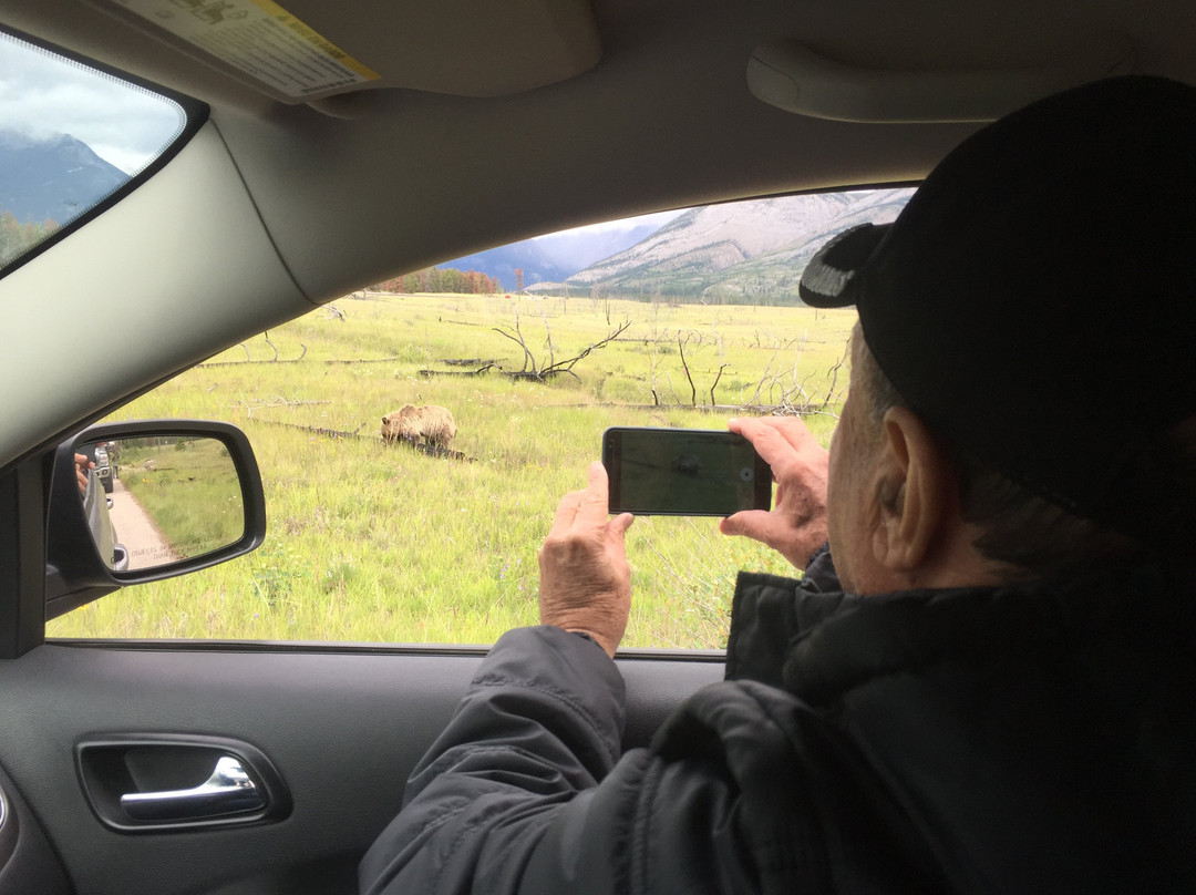 Hinton Visitor Information Centre-兴顿必去景点