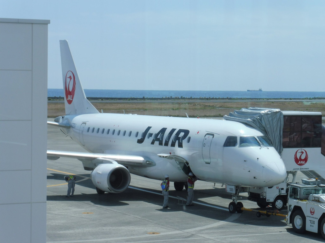 Amami Airport Visitors Deck-奄美市必去景点