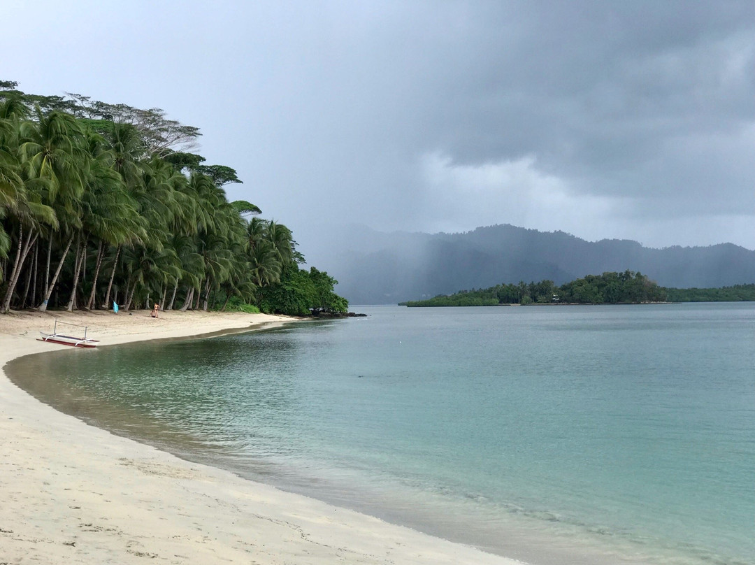 White Beach景点图片