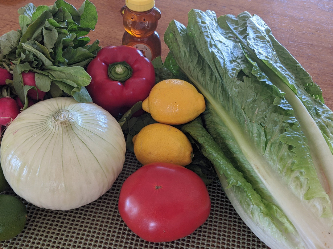 Geraldson's Family Farm-布雷登顿必去景点