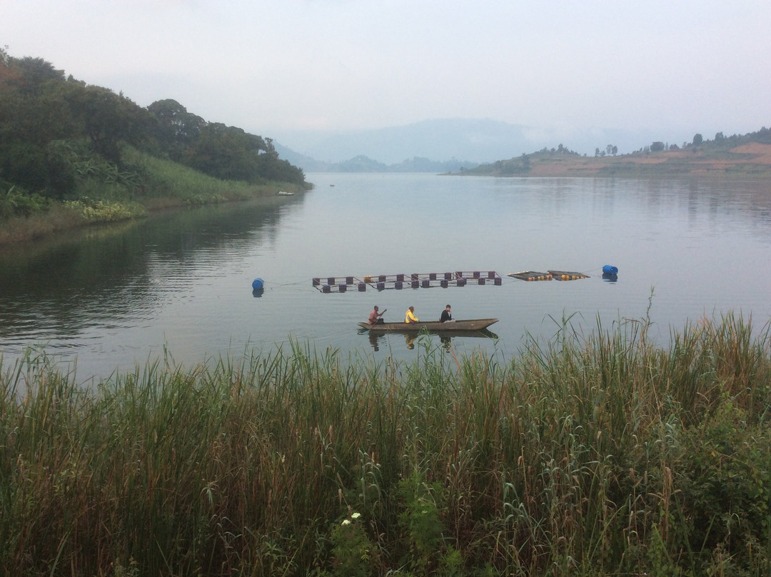 Paradise Eco-hub主图