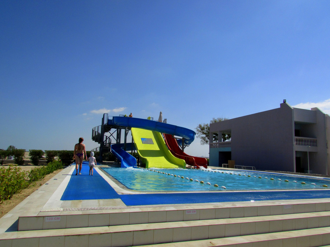 相思树酒店主图