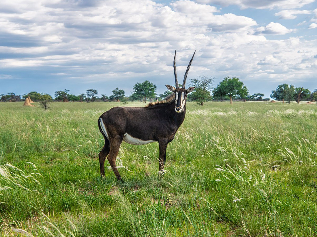 Farmstay Okakeua主图