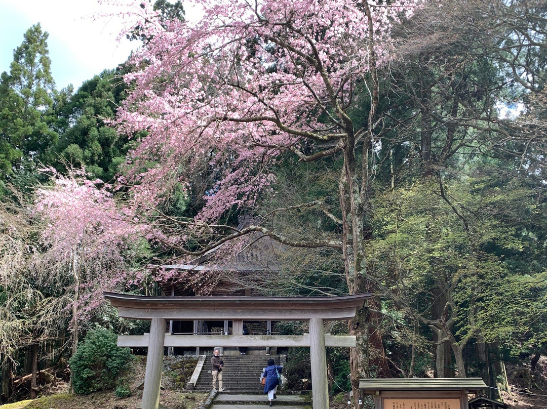 Kinbu Shrine景点图片