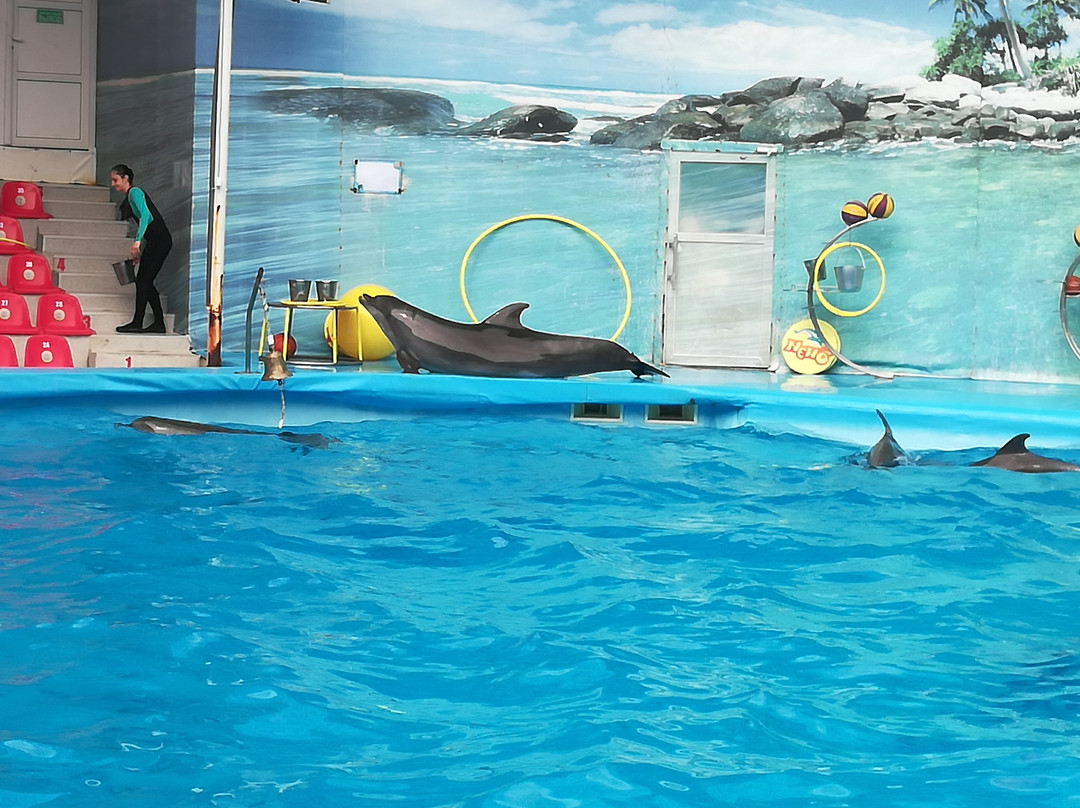 Alushta Dolphinarium Nemo-阿卢什塔必去景点