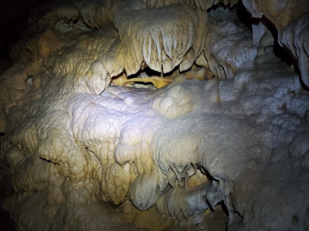 Hall of The White Giant-卡尔斯巴德洞穴国家公园必去景点
