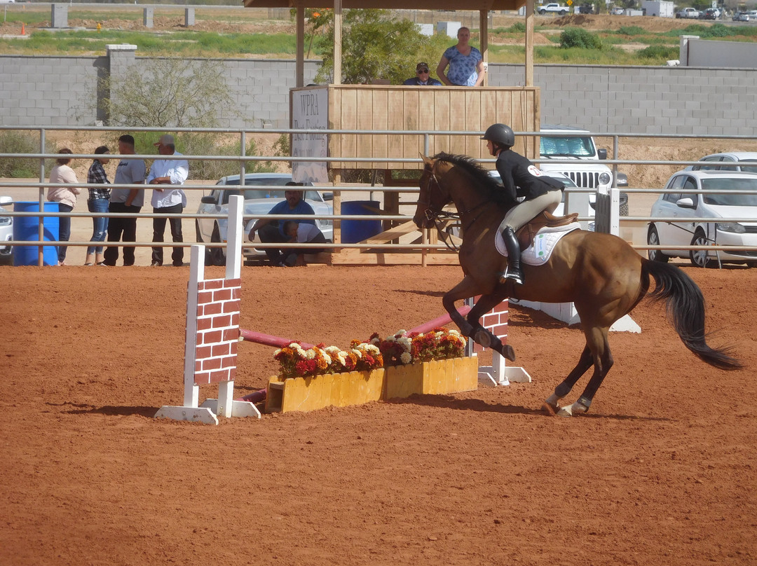 Horseshoe Park & Equestrian Centre-Queen Creek必去景点