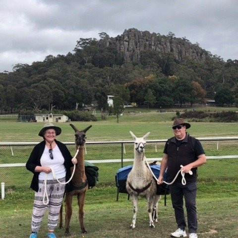 Hanging Rock Llama Treks-Woodend必去景点
