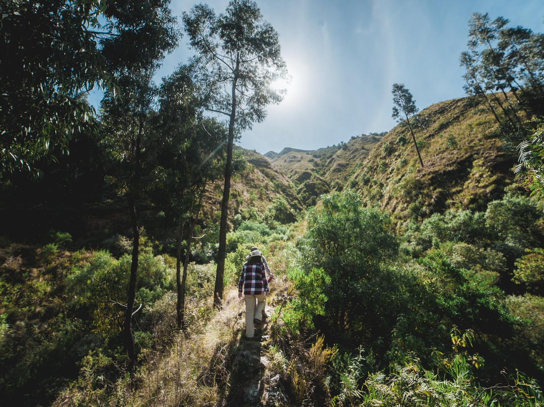 Berghotel Carolina主图