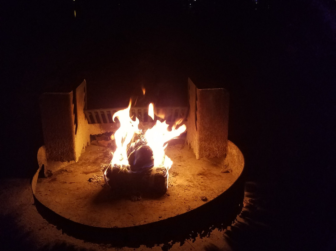 Cypress Black Bayou Park & Recreation Area-Benton必去景点