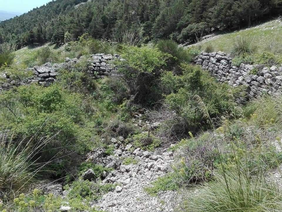 Monte Cammarata景点图片