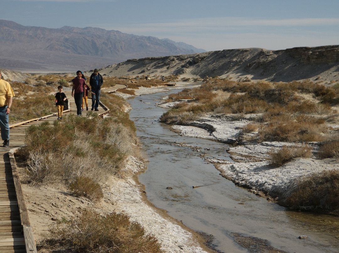 Salt Creek Interpretive Trail-死亡谷国家公园必去景点