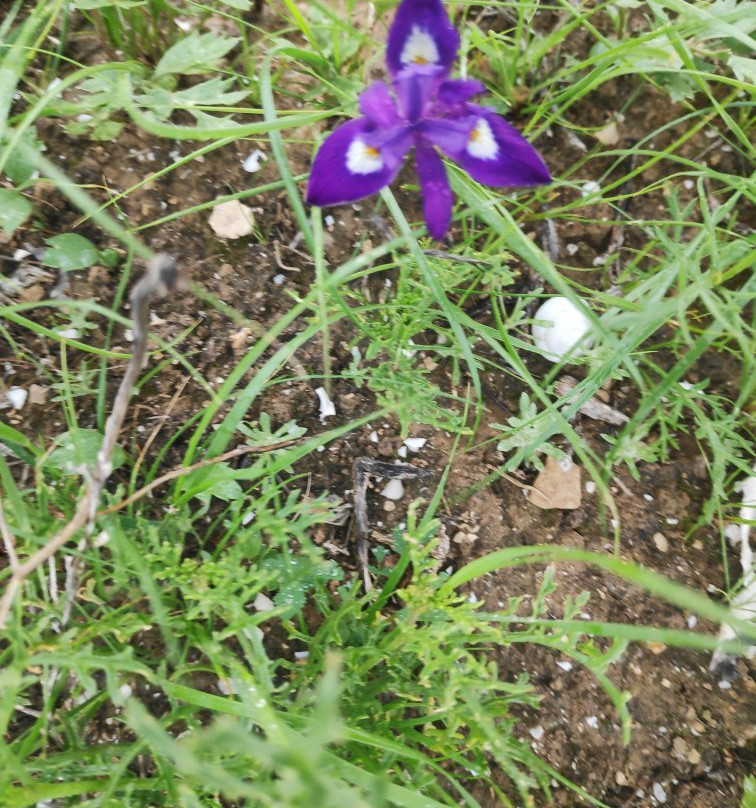 Monument to the Negev Brigade-贝尔谢巴必去景点