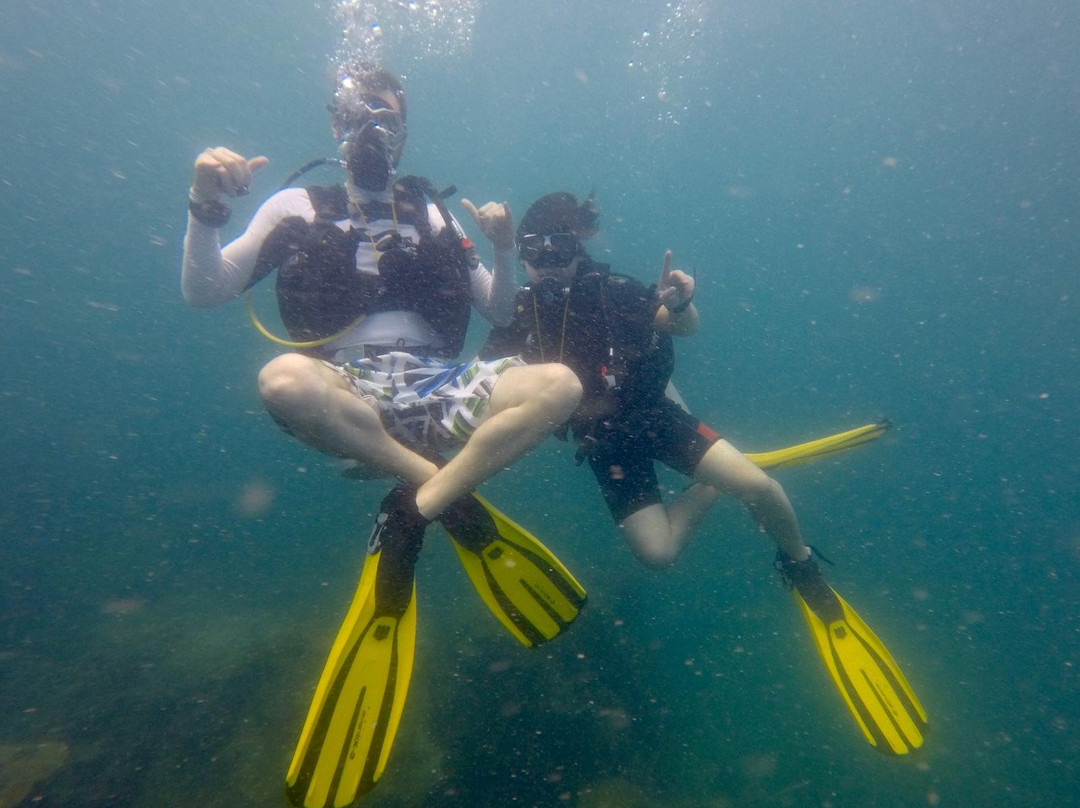 Paradise Diving & Watersports-高龙撒冷岛必去景点