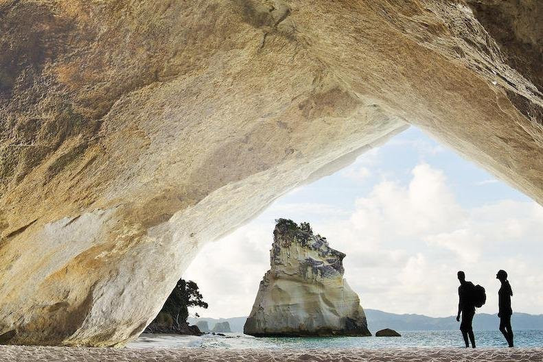 Maxwell Airport transfers and tours NZ-奥克兰必去景点